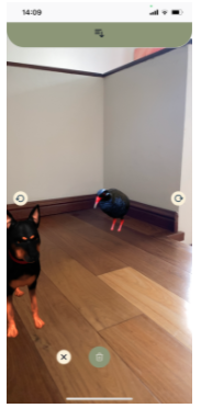 Augmented reality pets