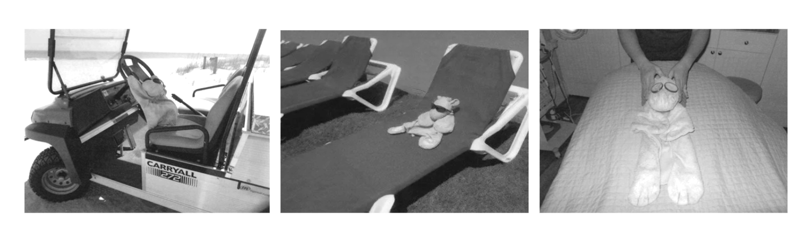 Three black and white photos of a stuffed giraffe: 1. driving a beach trolley, 2. sunbathing on a deck chair and 3. getting massages on a massage table.